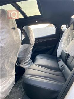 بي واي دي سيل 06 DM-i